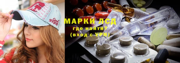 стафф Алзамай