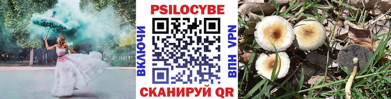 hydra ССЫЛКА  Чехов  Псилоцибиновые грибы Psilocybe 