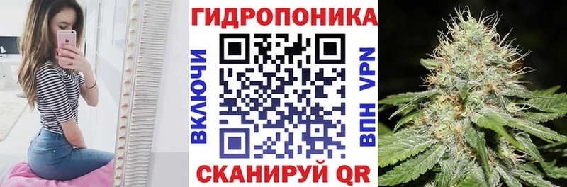 Канабис VHQ  shop официальный сайт  Чехов  hydra tor 